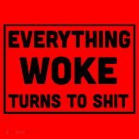 Everything Woke Turns To Shit Santa Hat thumb 1