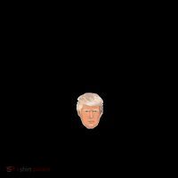 Everything Woke Turns To Shit Donald Trump Coffee Mug thumb 5