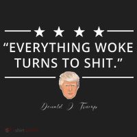 Everything Woke Turns To Shit Donald Trump Beanie thumb 2