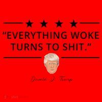 Everything Woke Turns To Shit Donald Trump Santa Hat thumb 1