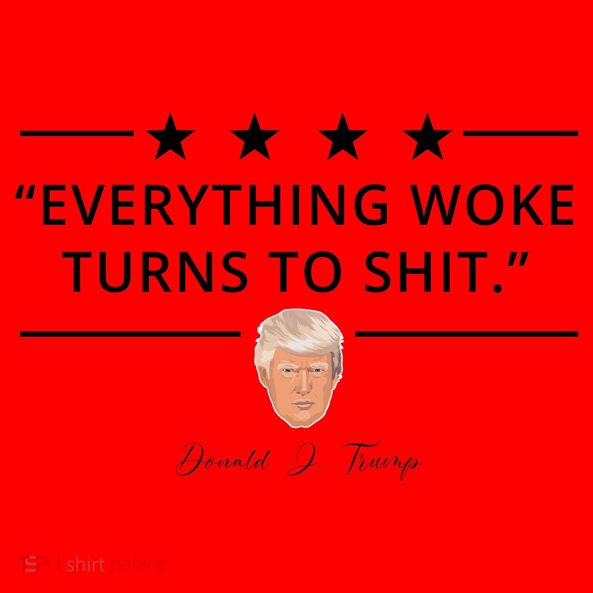 Everything Woke Turns To Shit Donald Trump Santa Hat