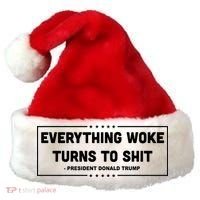 Everything Woke Turns To Shit Funny Trump Quote Santa Hat thumb 0