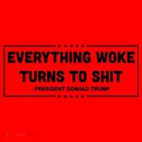 Everything Woke Turns To Shit Funny Trump Quote Santa Hat thumb 1