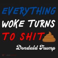 Everything Woke Turns To Shit Funny Poop Emoji Trump Quote Women's Hoodie thumb 2
