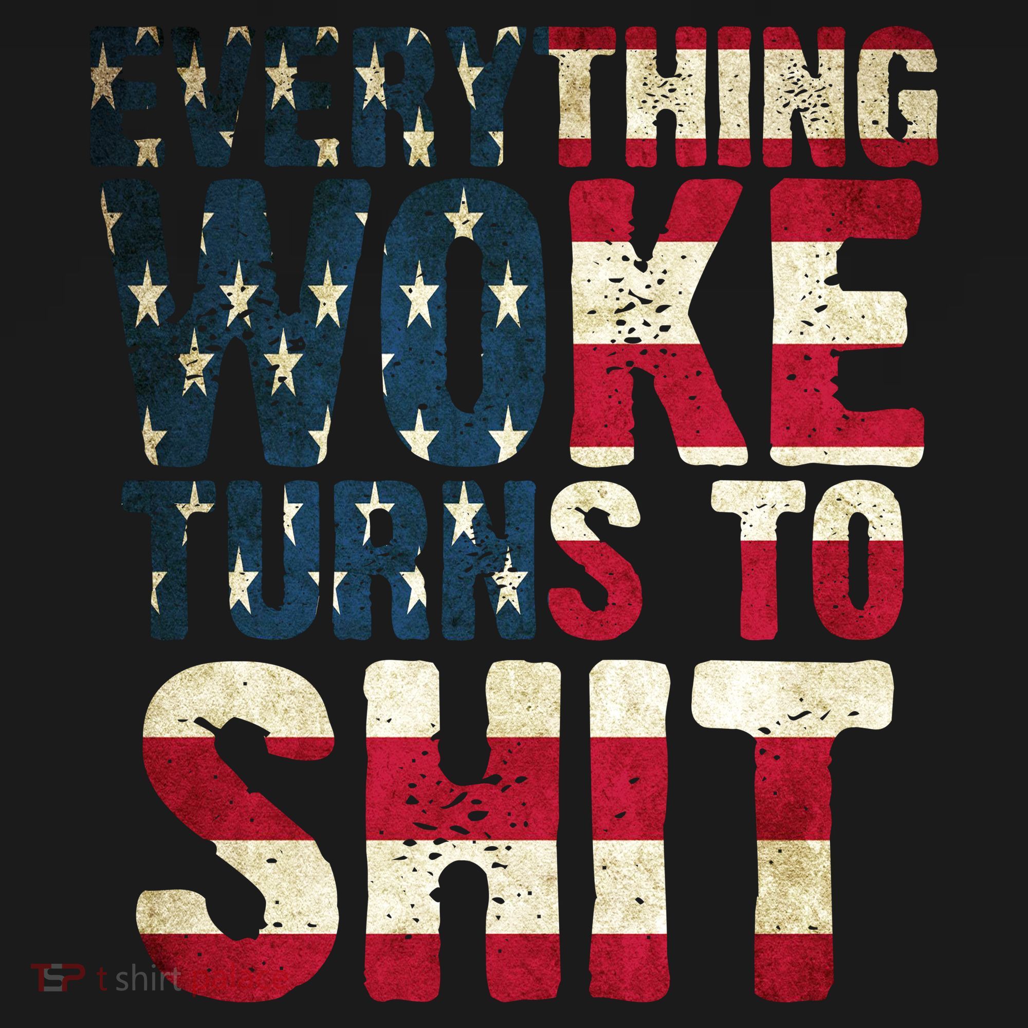 Everything Woke Turns To Shit USA Flag Long Sleeve Shirt