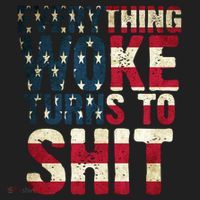 Everything Woke Turns To Shit USA Flag Beanie thumb 2