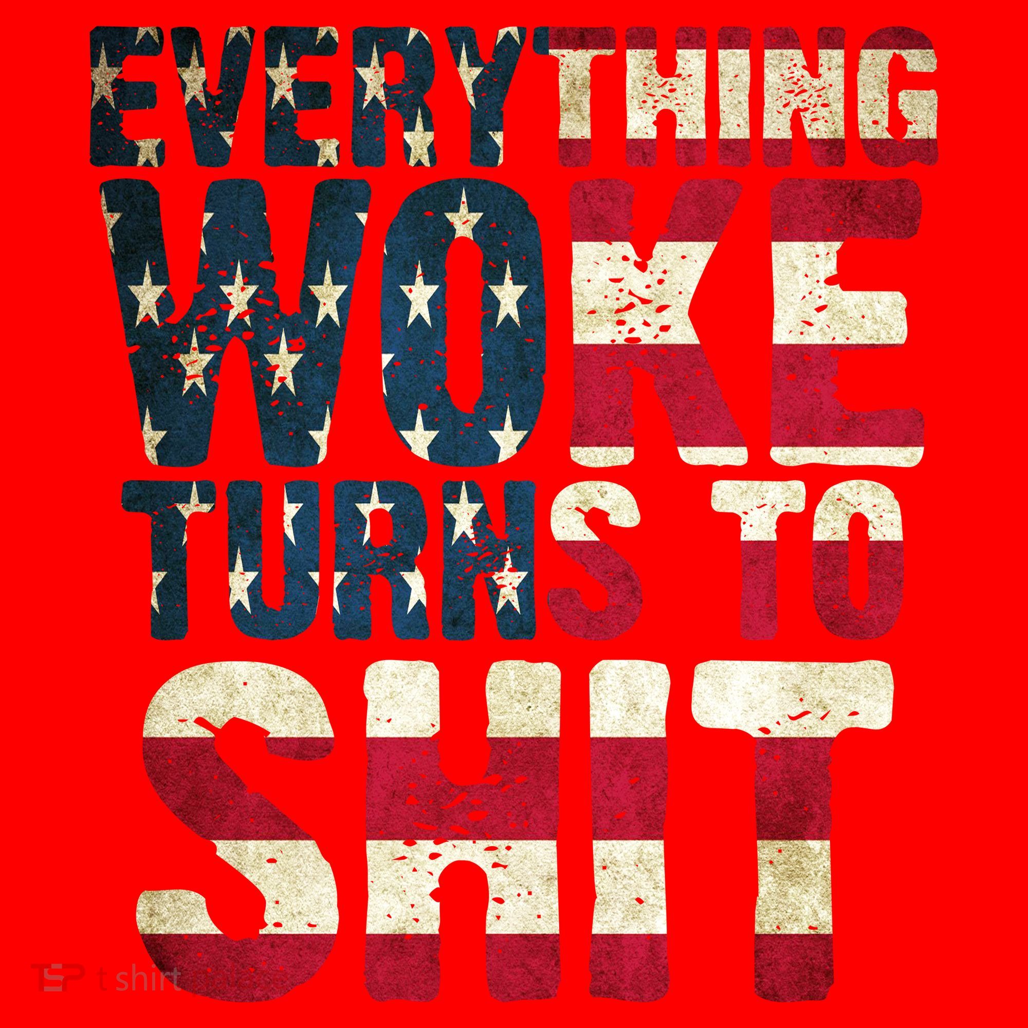 Everything Woke Turns To Shit USA Flag Santa Hat