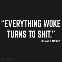 Everything Woke Turns To Shit Donald Trump T-Shirt thumb 7