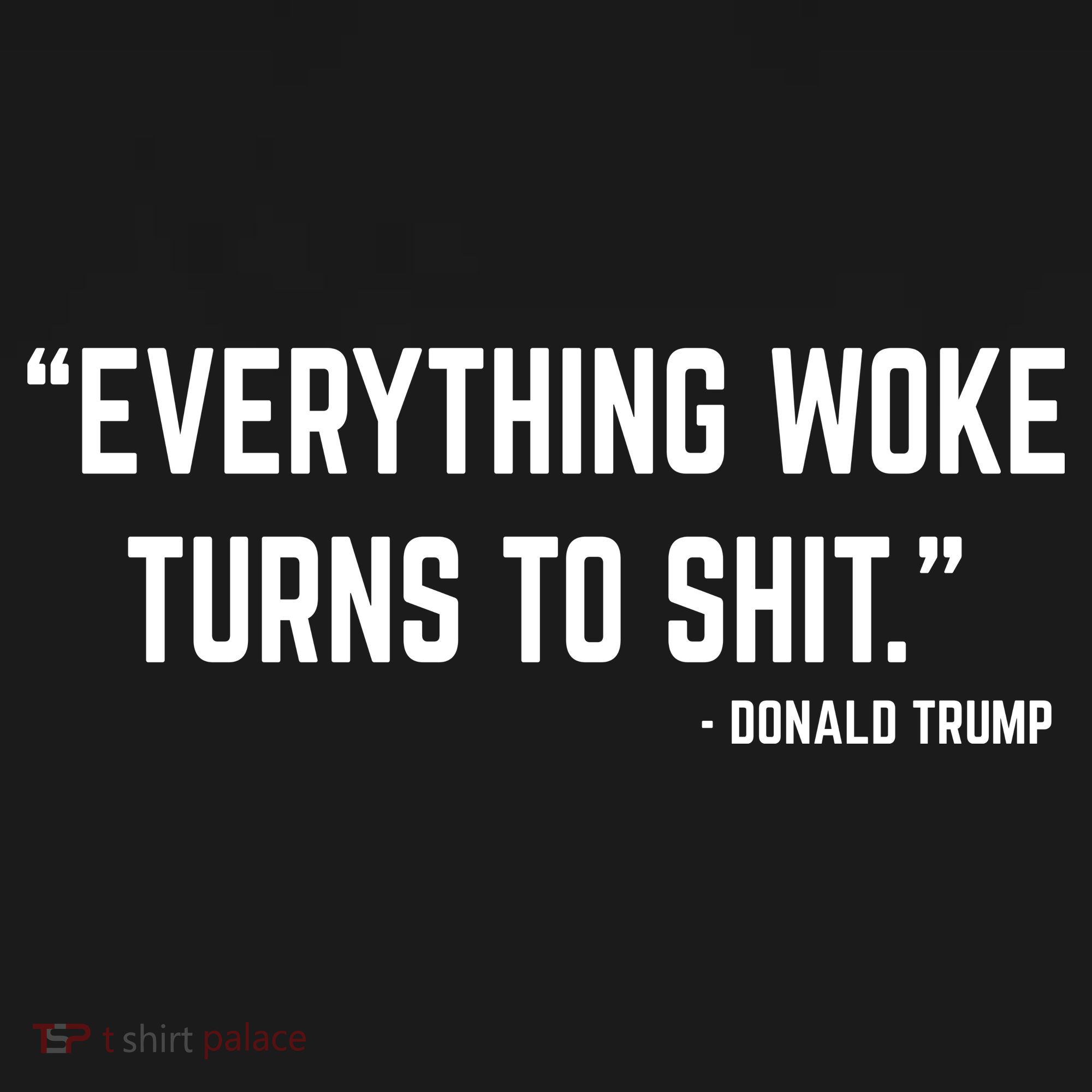 Everything Woke Turns To Shit Donald Trump T-Shirt