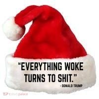 Everything Woke Turns To Shit Donald Trump Santa Hat thumb 0