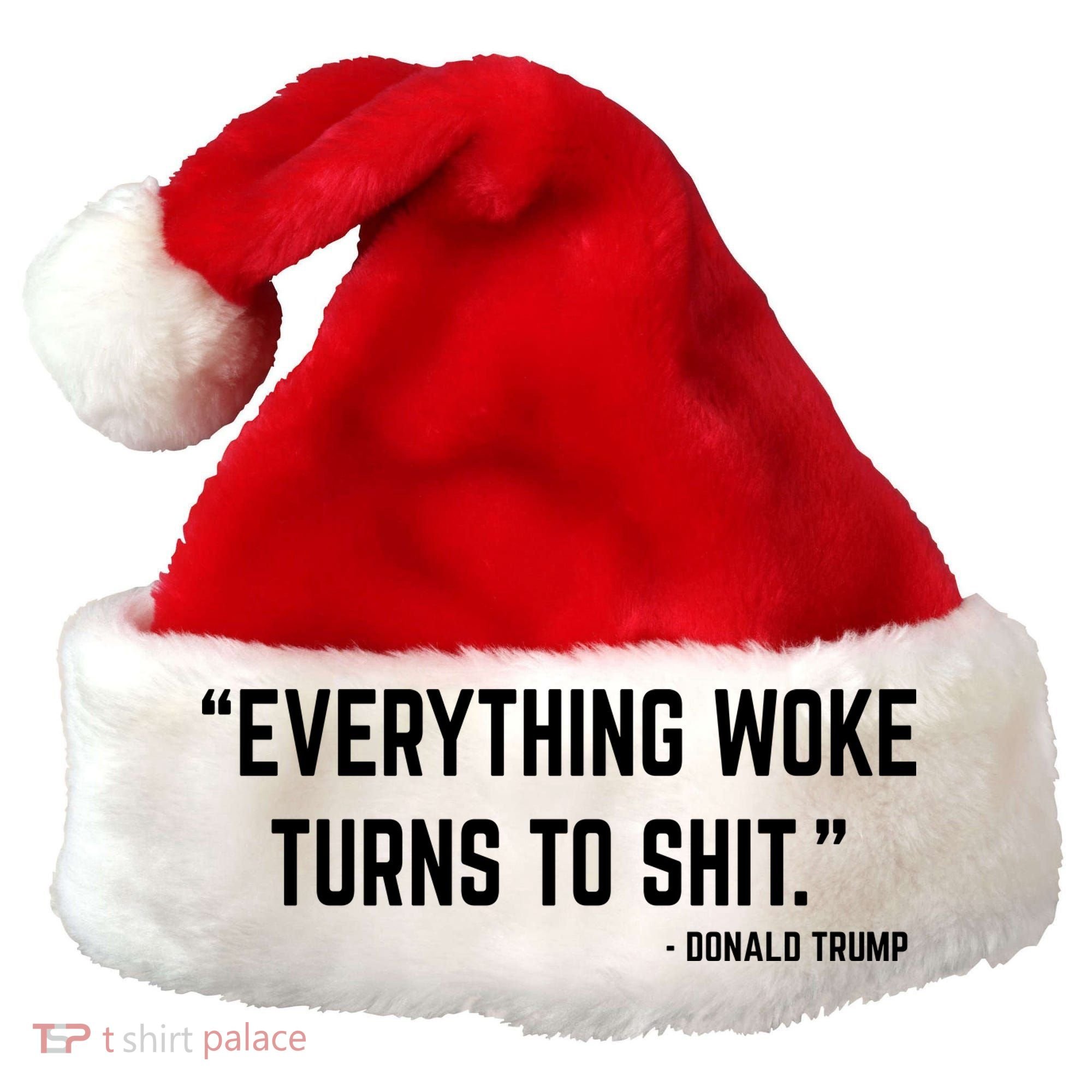 Everything Woke Turns To Shit Donald Trump Santa Hat