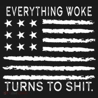 Everything Woke Turns To Shit American Flag Hoodie thumb 2