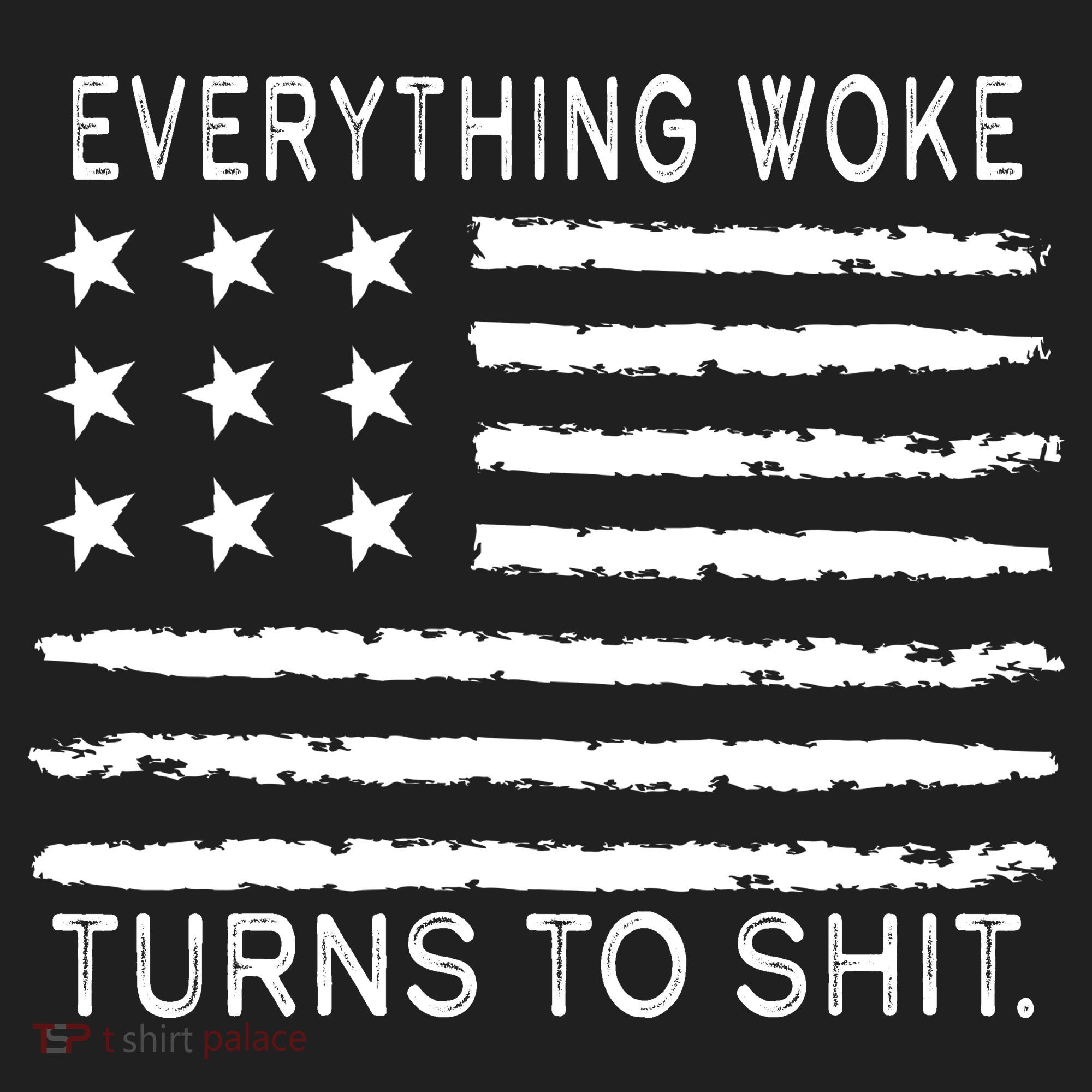 Everything Woke Turns To Shit American Flag Beanie