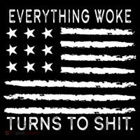 Everything Woke Turns To Shit American Flag Women's Hoodie thumb 2