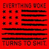Everything Woke Turns To Shit American Flag Santa Hat thumb 1