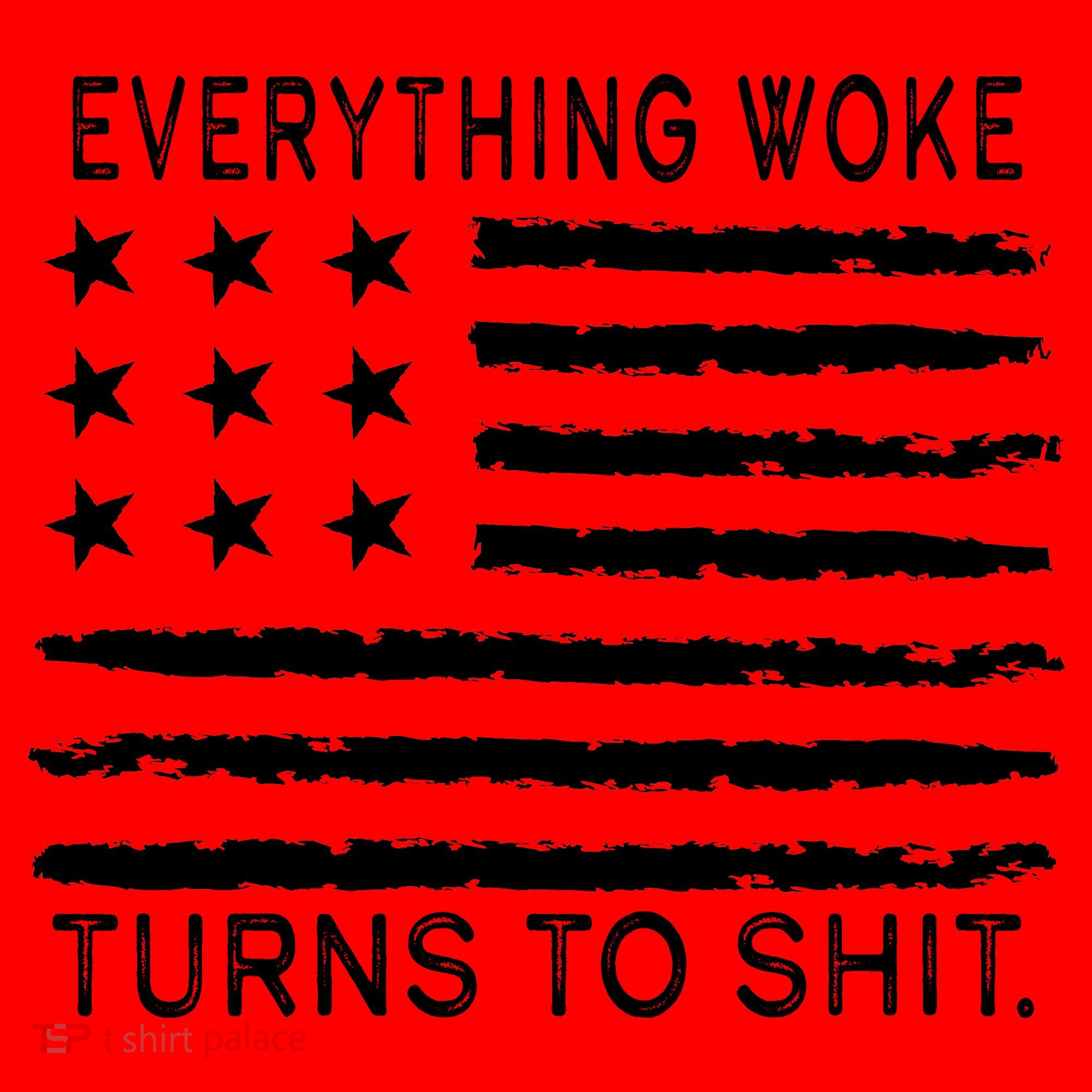 Everything Woke Turns To Shit American Flag Santa Hat