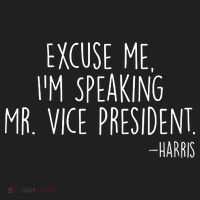 Excuse Me I'm Speaking Mr Vice President Kamala Harris Debate Beanie thumb 2