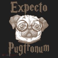 Expecto Pugtronum Funny Pug Tumbler thumb 3