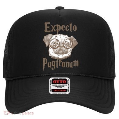 Expecto Pugtronum Funny Pug Hat