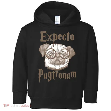 Expecto Pugtronum Funny Pug Toddler Hoodie
