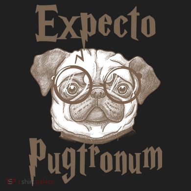 Expecto Pugtronum Funny Pug Kids Plaid Pajama Set