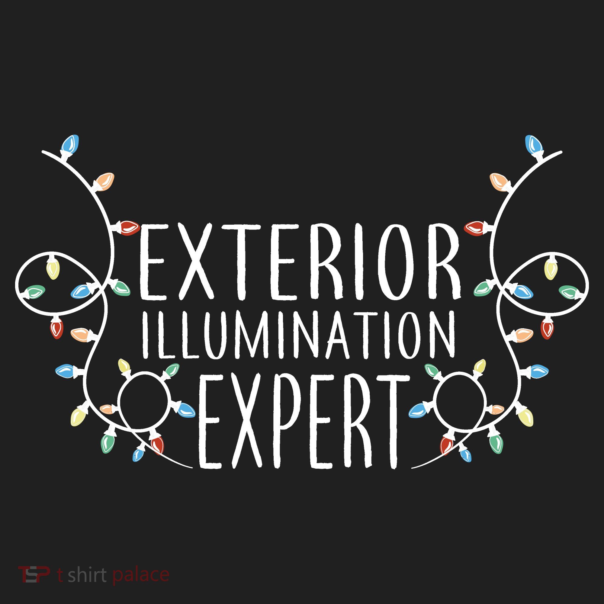 Exterior Illumination Expert Women's Sweatshirt
