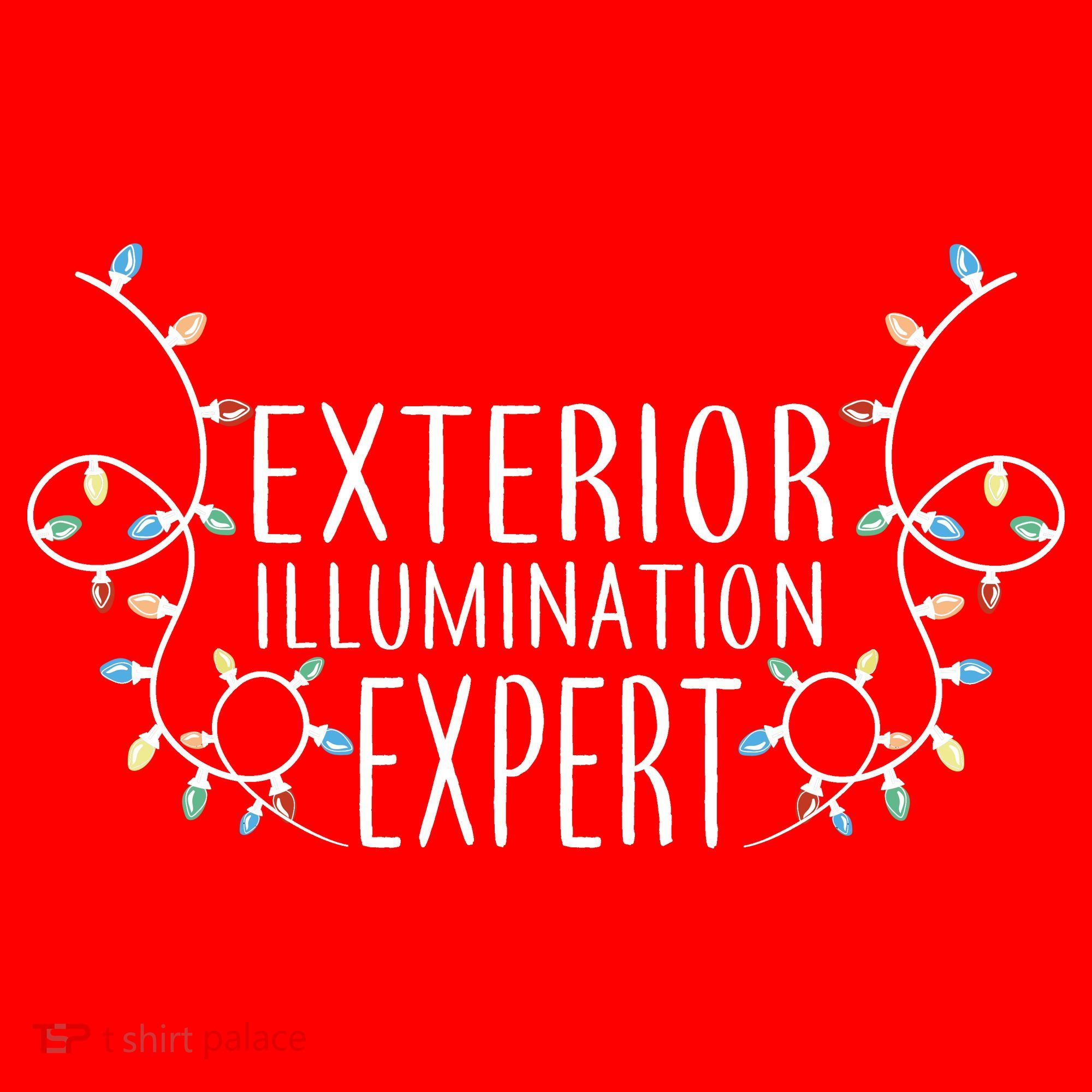 Exterior Illumination Expert Toddler Hoodie