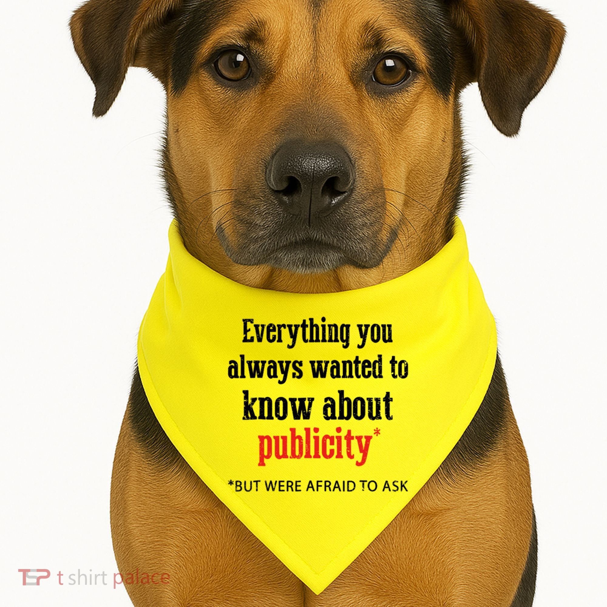 Everything You Always Wanted To Know About Publicity USA-Made Doggie Bandana