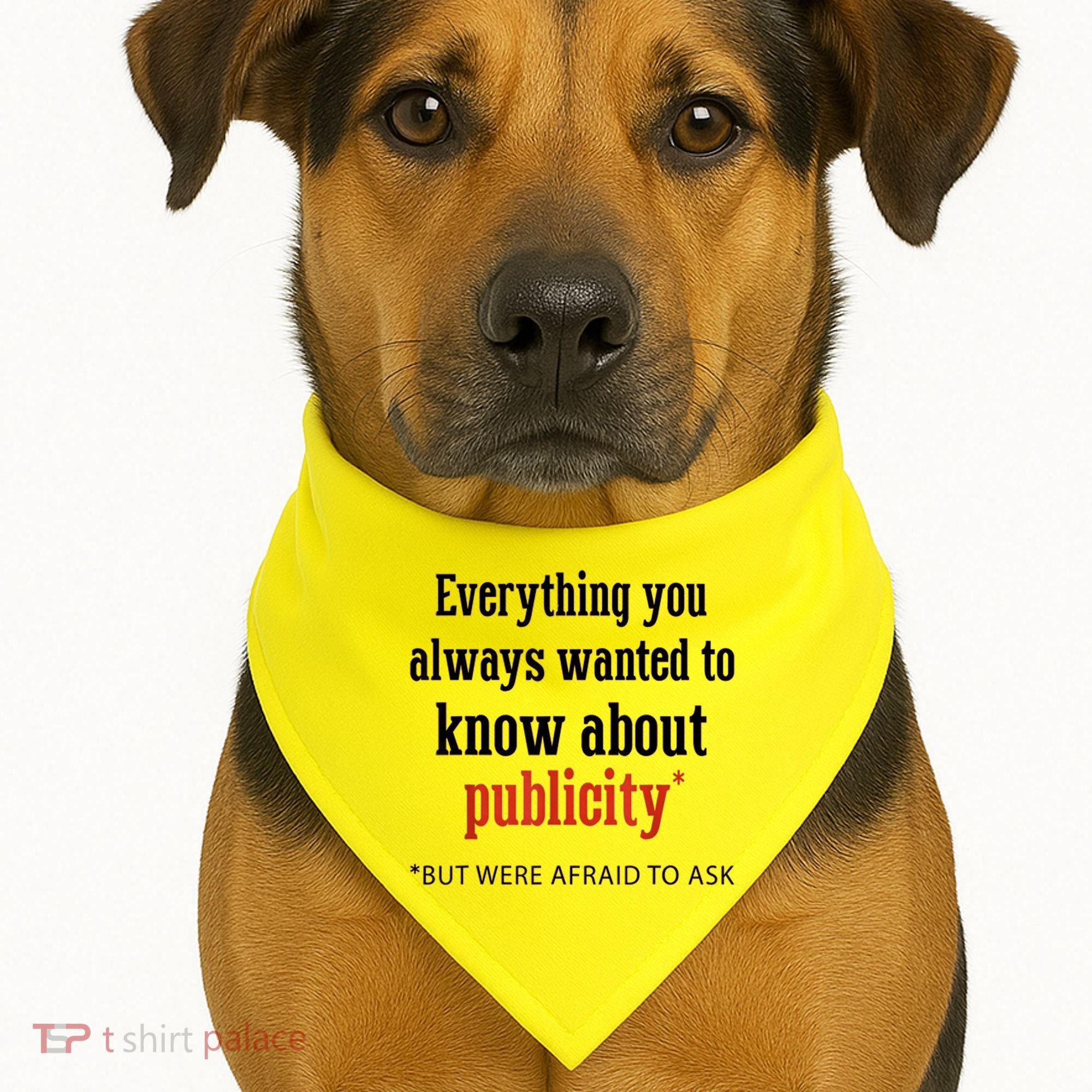 Everything You Always Wanted To Know About Publicity USA-Made Doggie Bandana