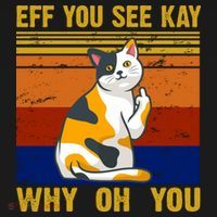 EFF You See Kay Why Oh You Funny Cat Middle Finger Women's Hoodie thumb 2