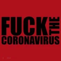 F--K The Coronavirus Christmas Stocking thumb 1
