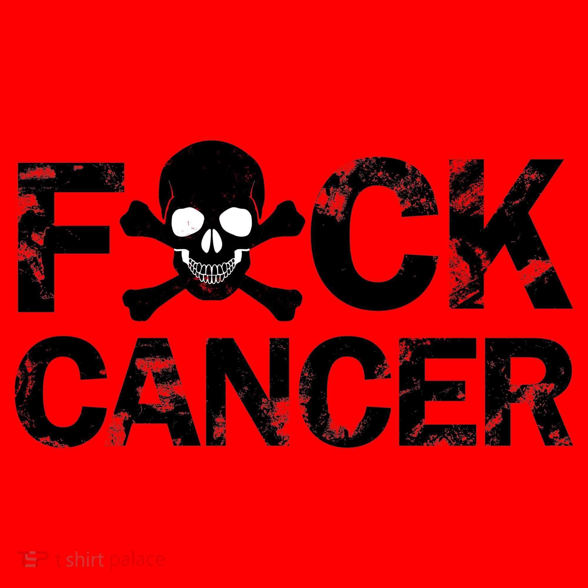 F Cancer Crossbone Skeleton Santa Hat