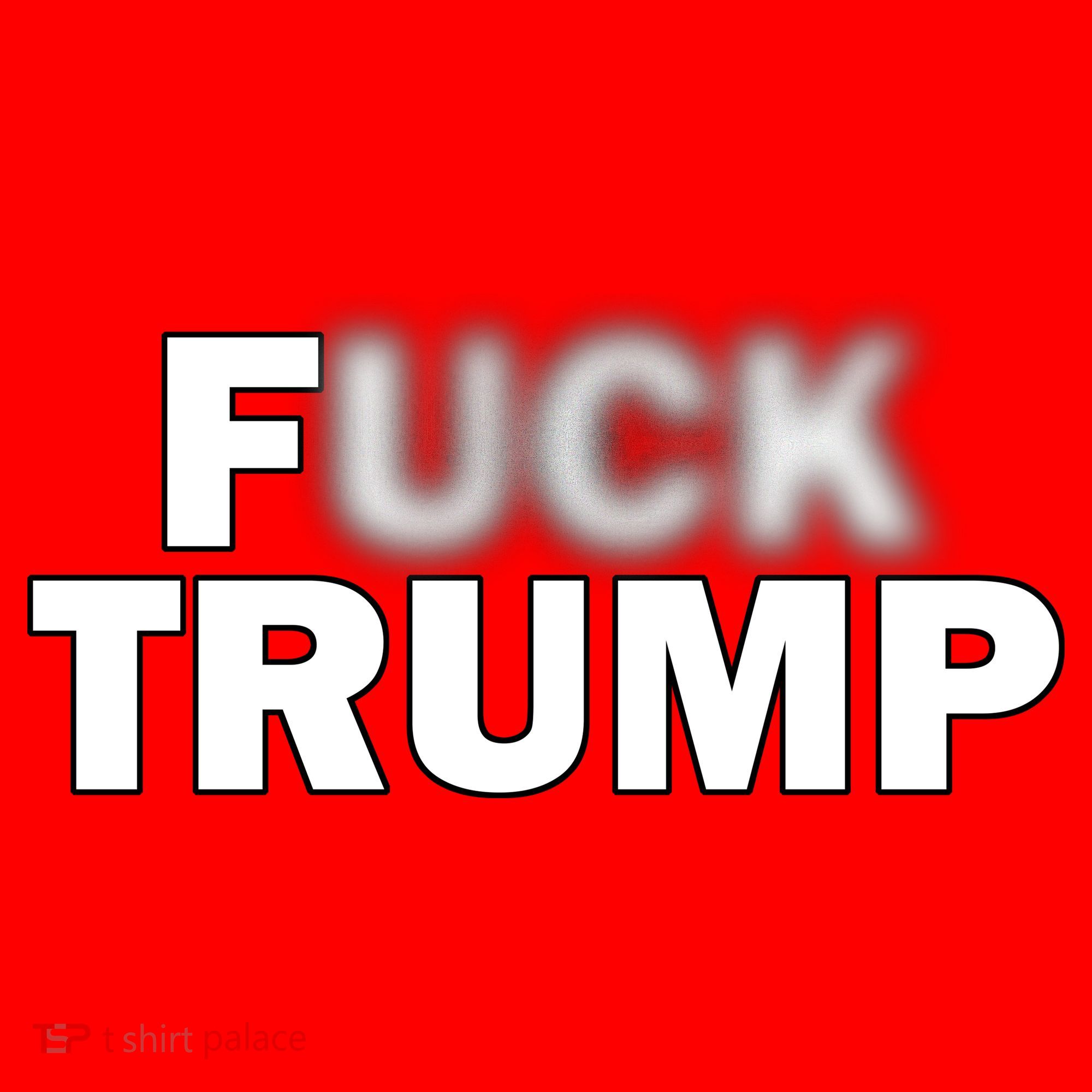 F Trump Blurry Logo Santa Hat
