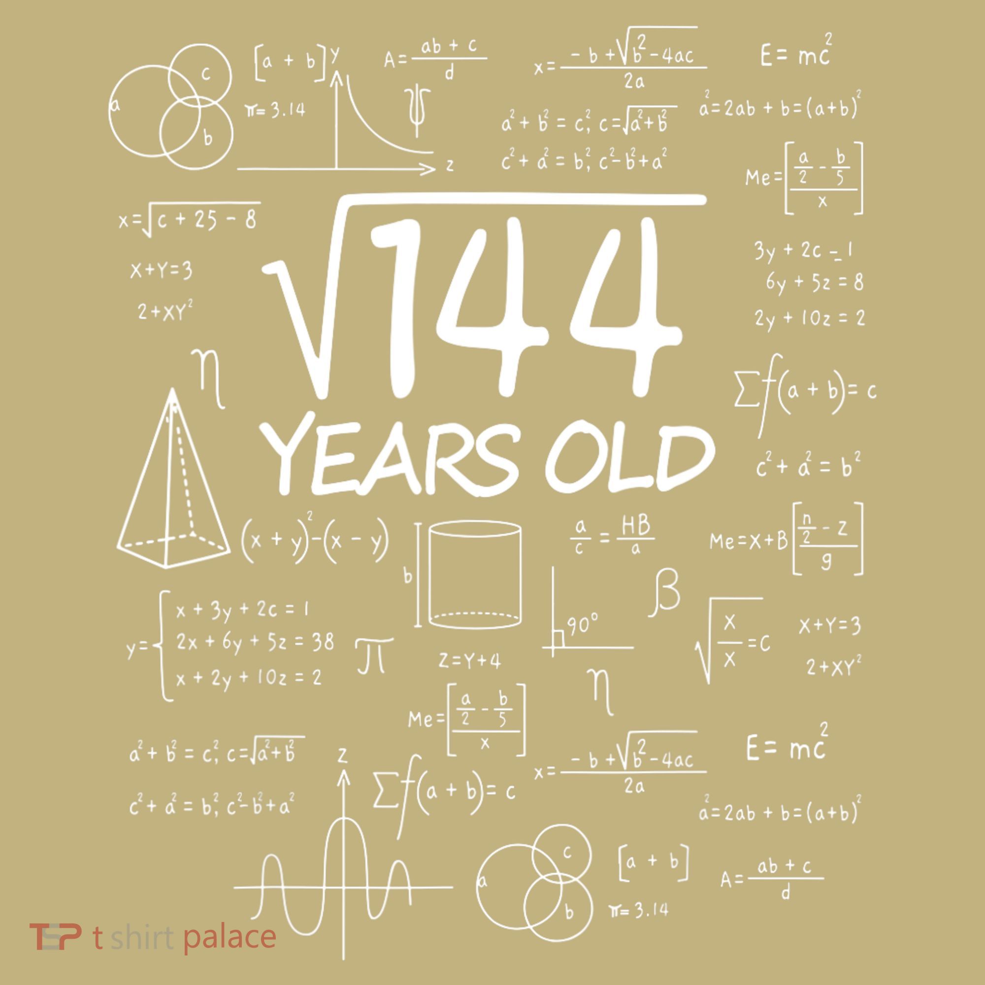 Funny 12th Birthday 144 Math Square Root Kids T-Shirt