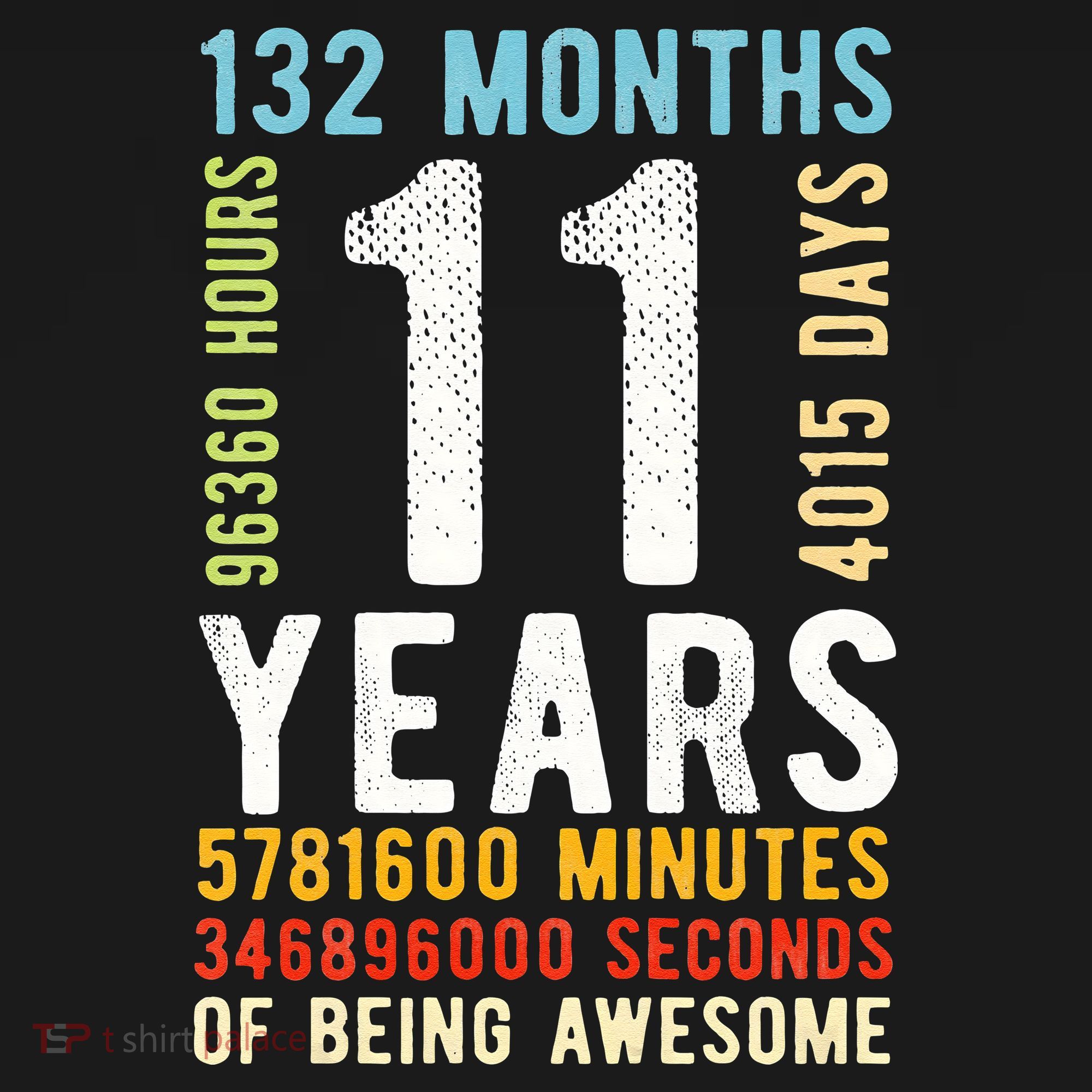 Funny 11th Birthday 11 Years Old Vintage Retro 132 Months T-Shirt