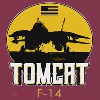 F 14 Tomcat Fighter Jet 16oz Travel Tumbler thumb 2