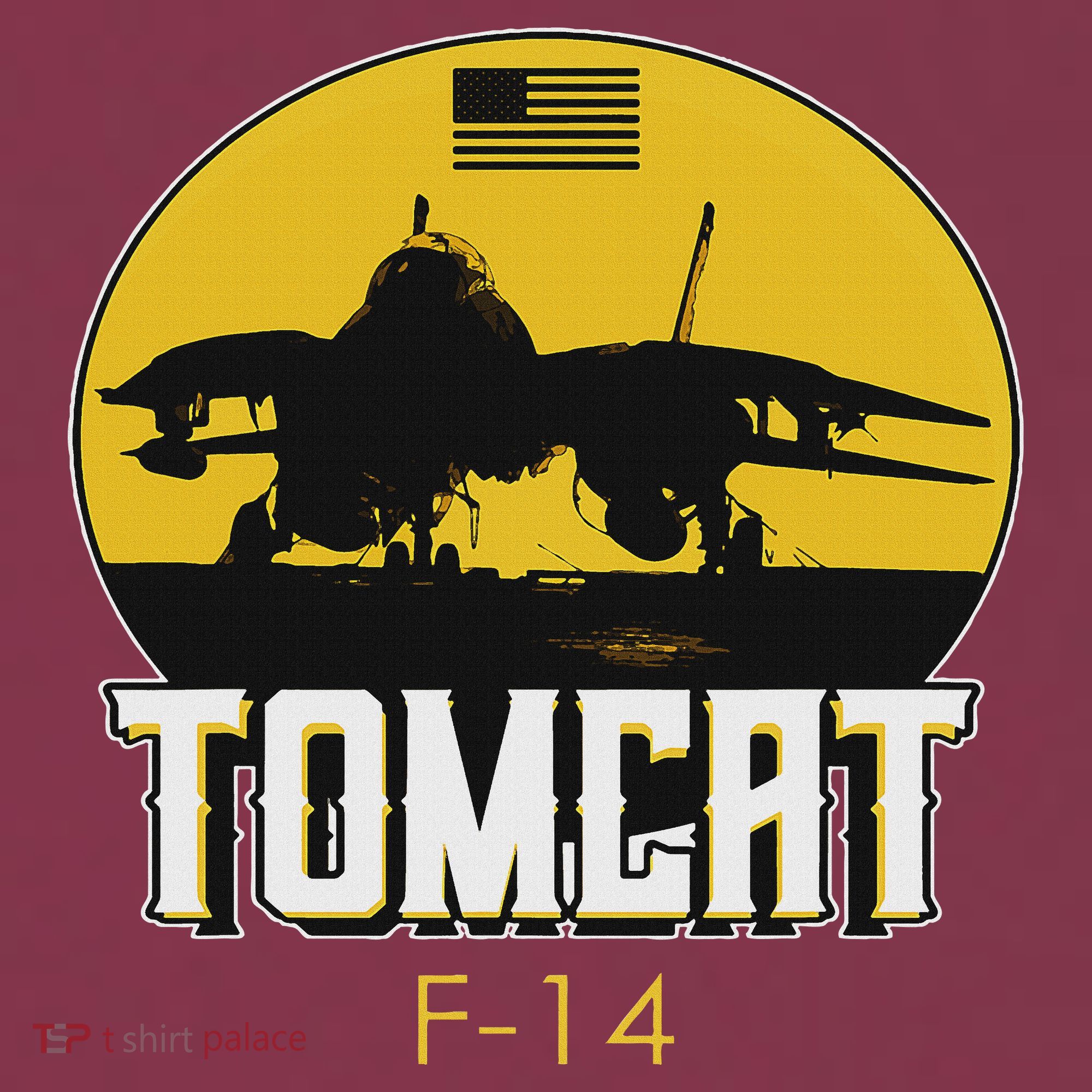 F 14 Tomcat Fighter Jet 16oz Travel Tumbler