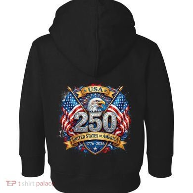 Freedom 250th Anniversary Birthday America USA Eagle Front And Back Toddler Hoodie back