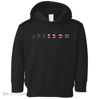 Freedom 250th Anniversary Birthday America USA Eagle Front And Back Toddler Hoodie