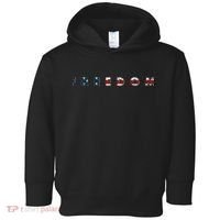 Freedom 250th Anniversary Birthday America USA Eagle Front And Back Toddler Hoodie thumb 0
