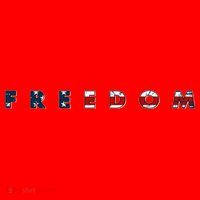 Freedom 250th Anniversary Birthday America USA Eagle Front And Back Santa Hat thumb 2