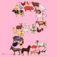 Fun 2nd Birthday Farm Animals Themed 2 Year Old Bday Coaster thumb 2