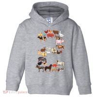 Fun 2nd Birthday Farm Animals Themed 2 Year Old Bday Toddler Hoodie thumb 0