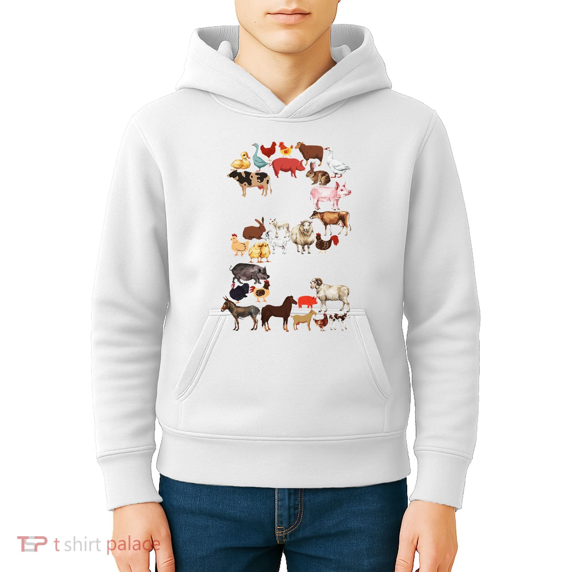 Fun 2nd Birthday Farm Animals Themed 2 Year Old Bday Kids Hoodie
