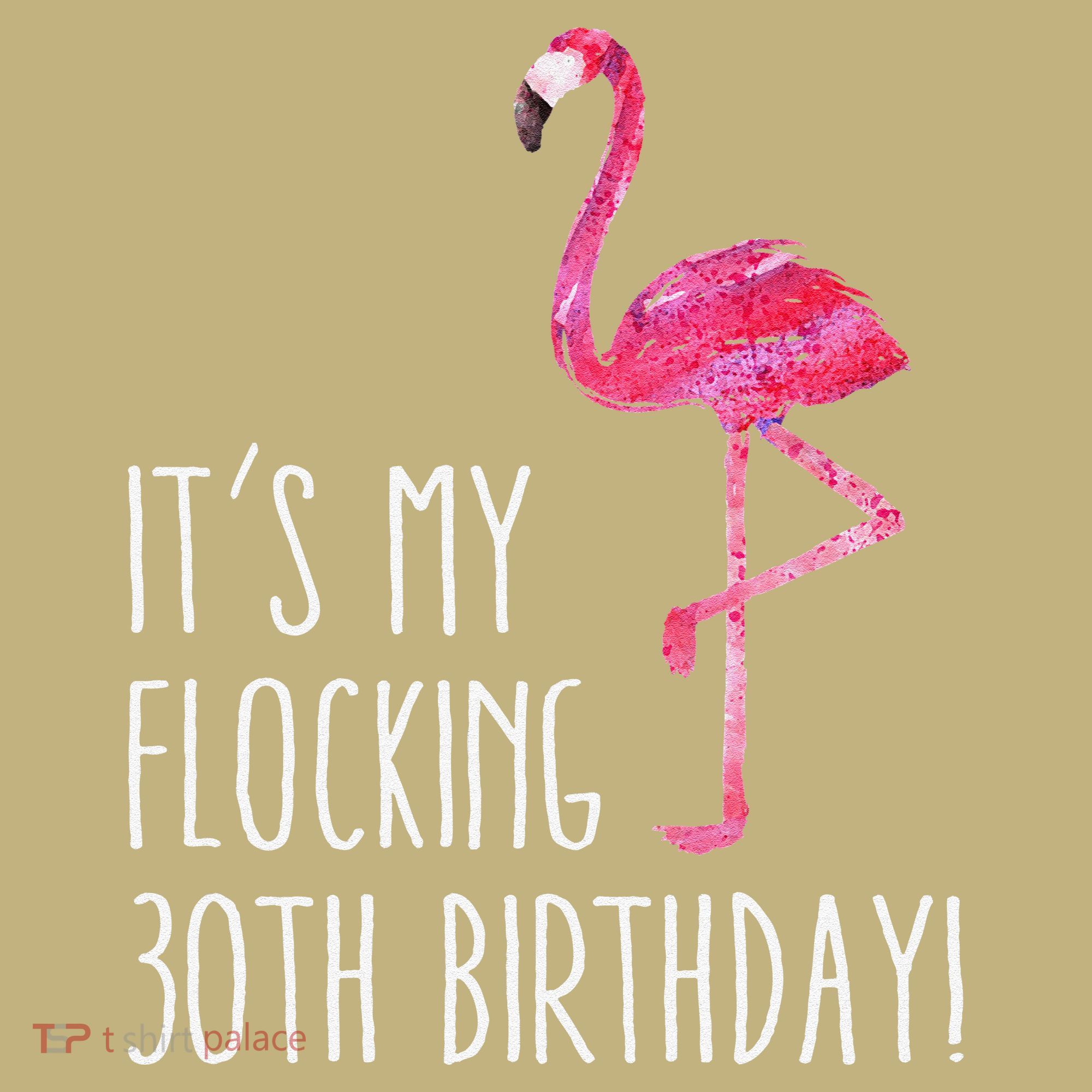 Funny 30th Birthday Pink Watercolor Flamingo 30 Year T T-Shirt