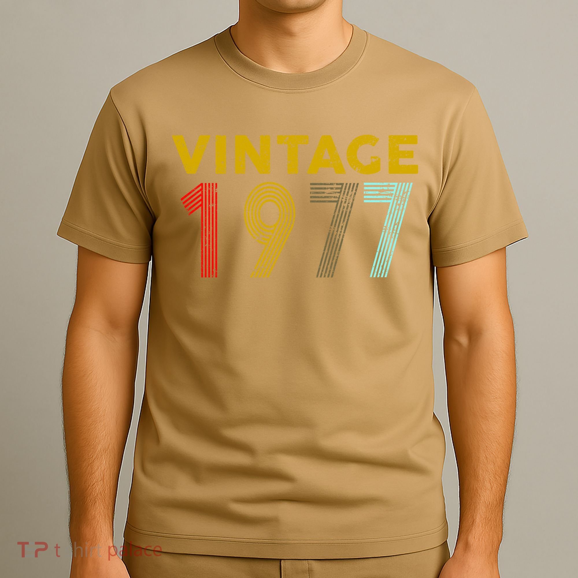 Funny 42nd Birthday Gift Vintage 1972 T-Shirt