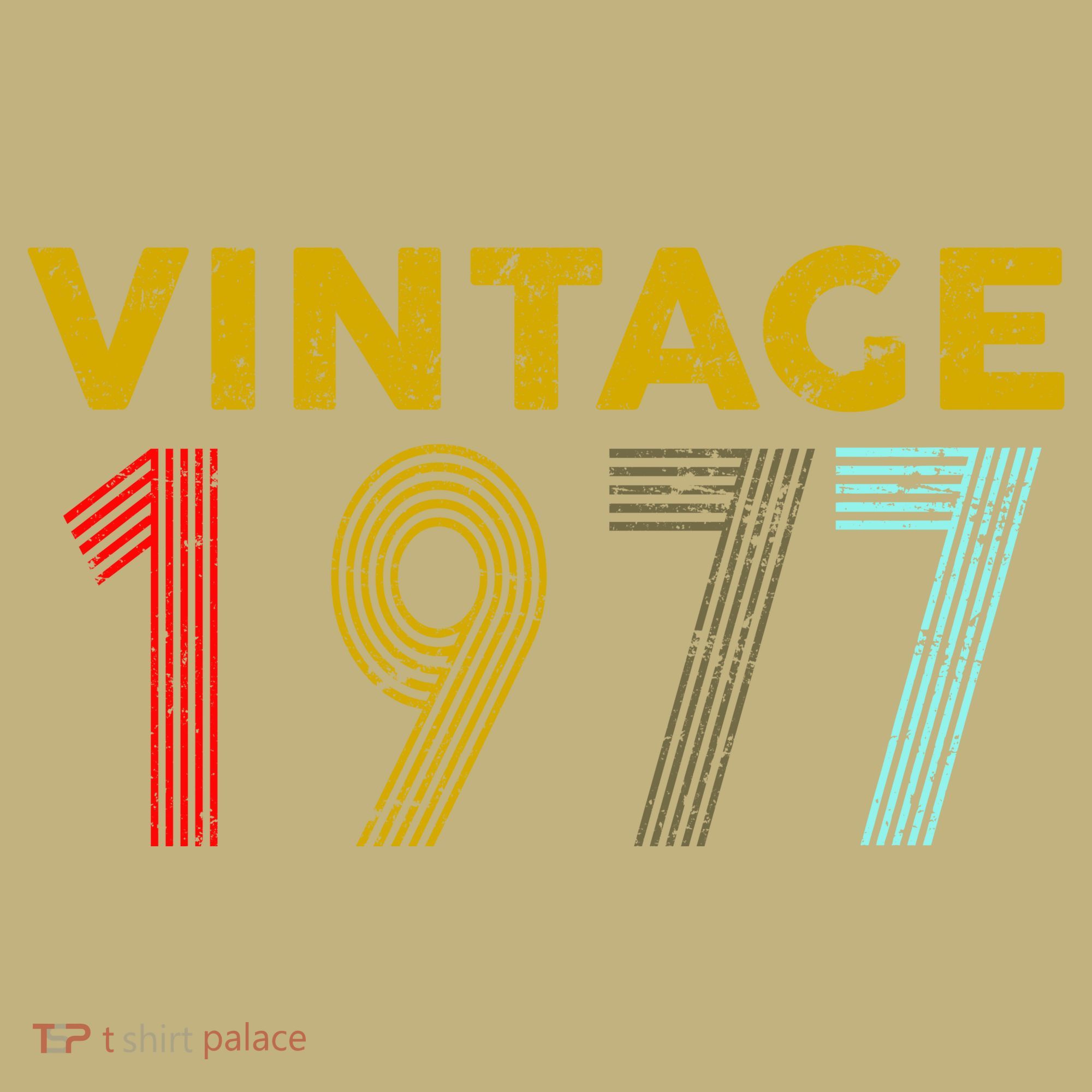 Funny 42nd Birthday Gift Vintage 1972 T-Shirt