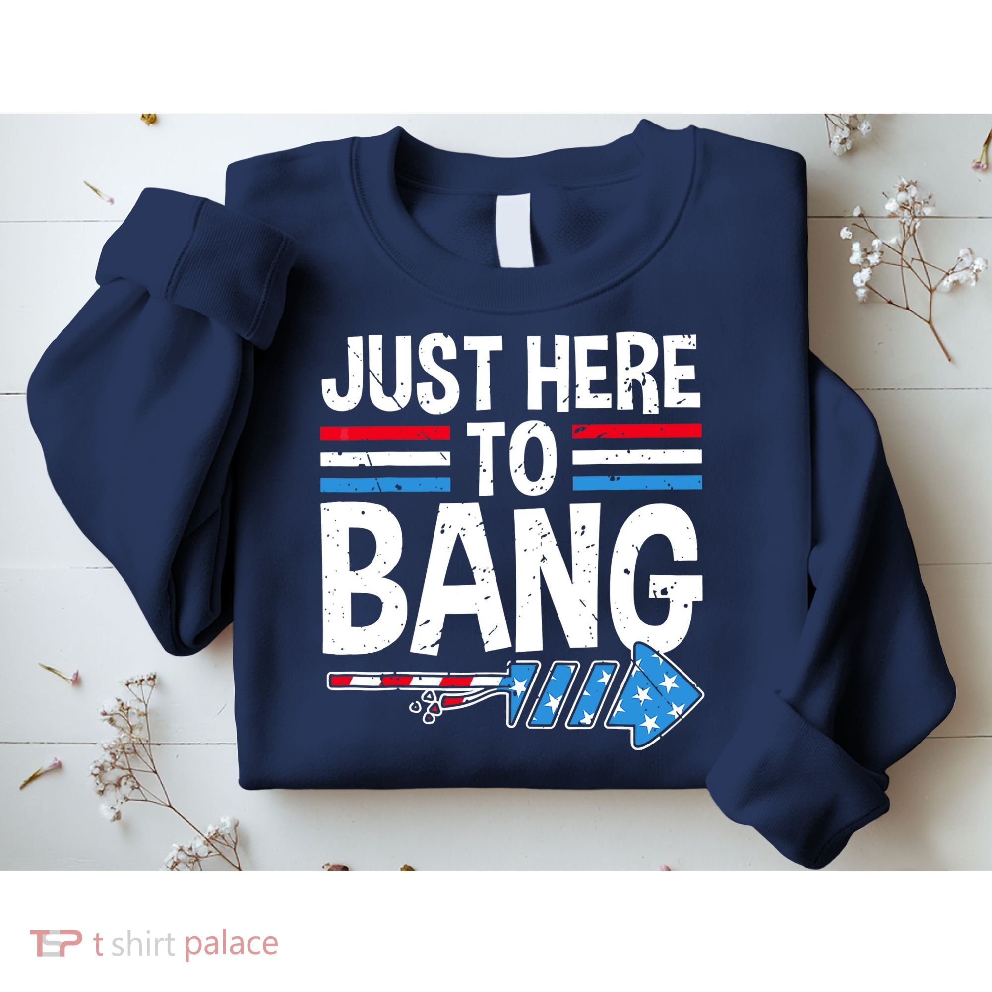 Funny 4th Of July Just Here to Bang Fireworks Sweatshirt