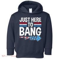 Funny 4th Of July Just Here to Bang Fireworks Toddler Hoodie thumb 0