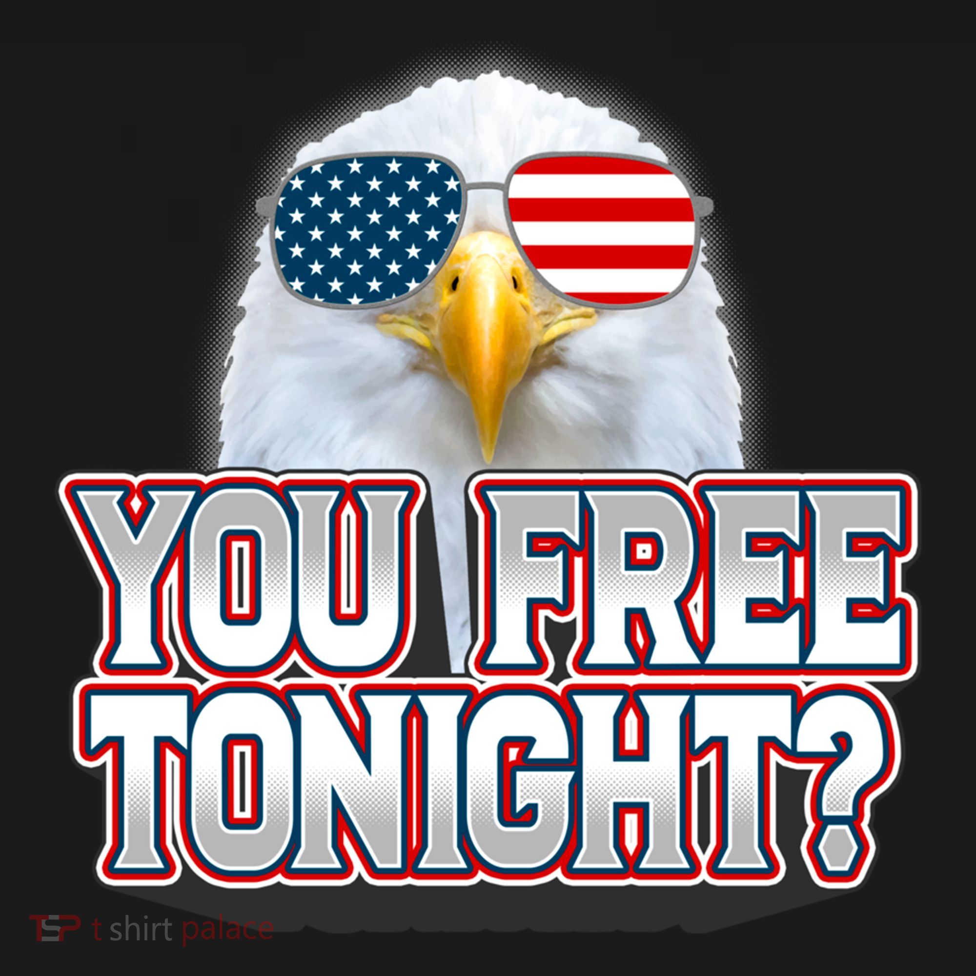 Fourth 4th Of July Bald Eagle You Free Tonight Funny Gift Women's Hoodie